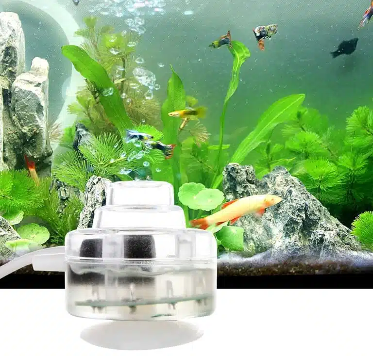Which Submersible Pump Is Best For Aquarium