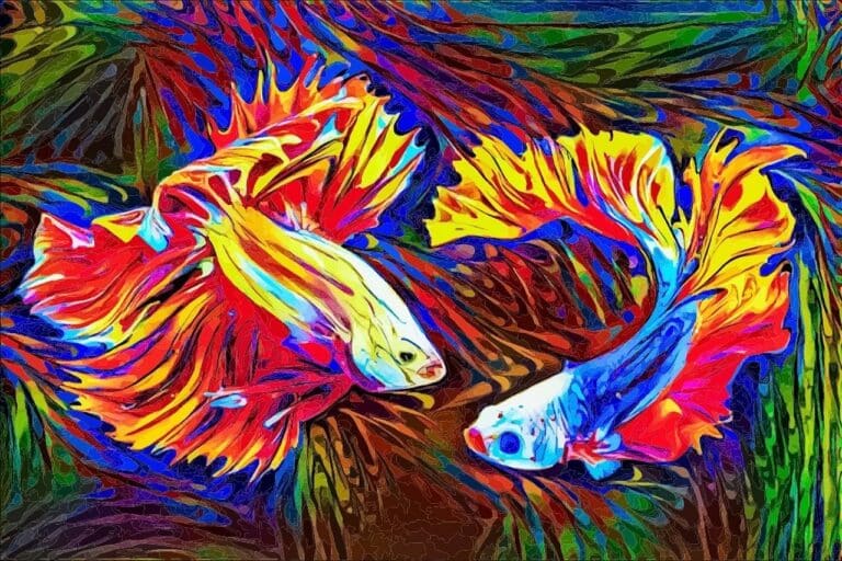 Betta Fish Behavior Before Death: Is My Betta Dying Slowly?