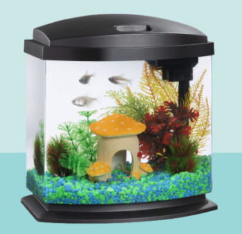 Best Small Fish Tank For Beginners