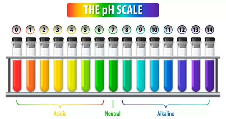 How To Raise pH in Aquarium Without Chemicals Today
