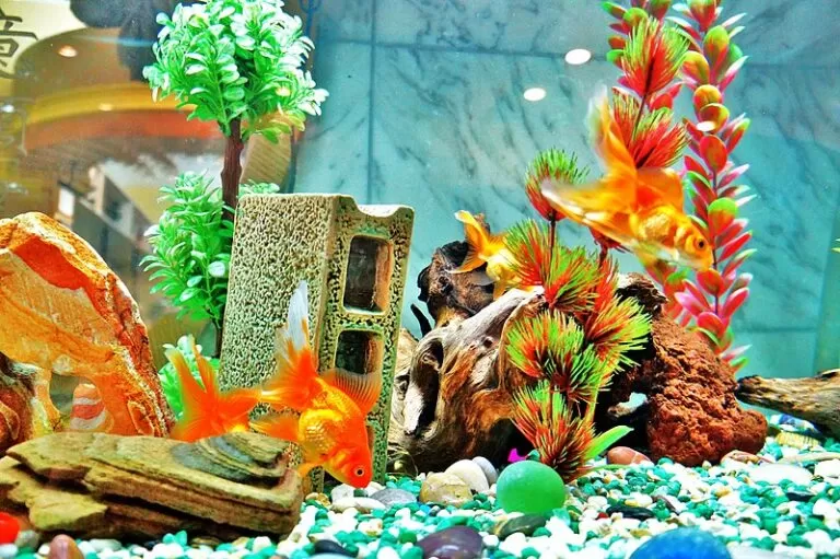 Unique Creative Christmas Fish Tank Decoration Ideas