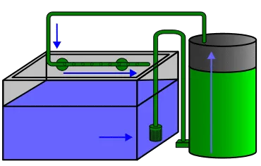 Best Canister Filter For 4 Feet Aquarium