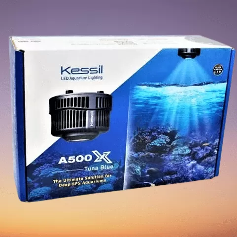 Kessil a500x Review Best Tuna Blue LED Aquarium Light With SPS Coral