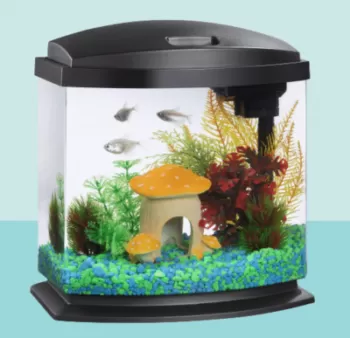 Best Small Fish Tank For Beginners